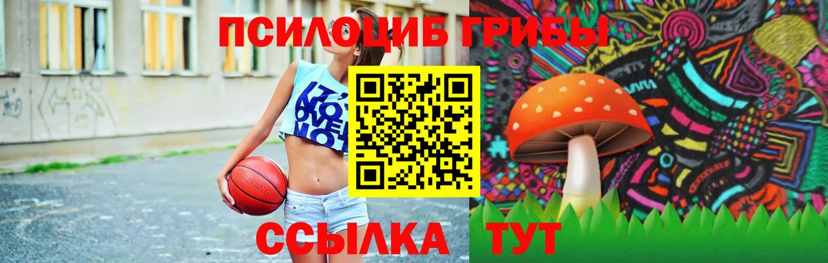 Галлюциногенные грибы MAGIC MUSHROOMS Кашира
