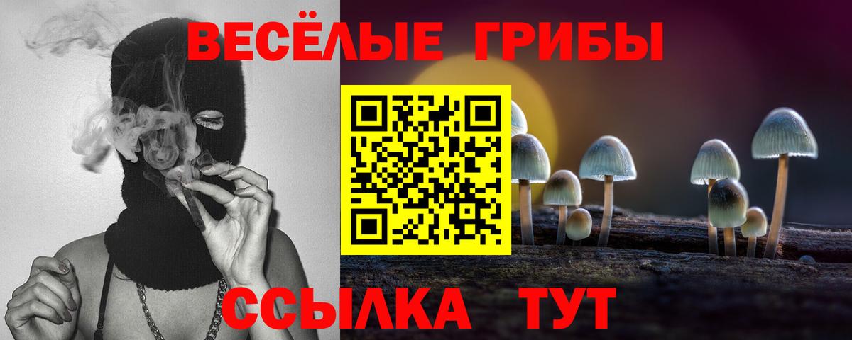 Кашира  Галлюциногенные грибы Psilocybe  Вход с VPN 